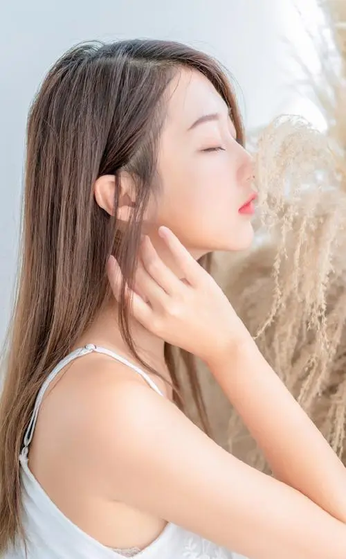 我家的春夏秋冬,BD官方版,汉化组精译中字,全集免费观看完整版