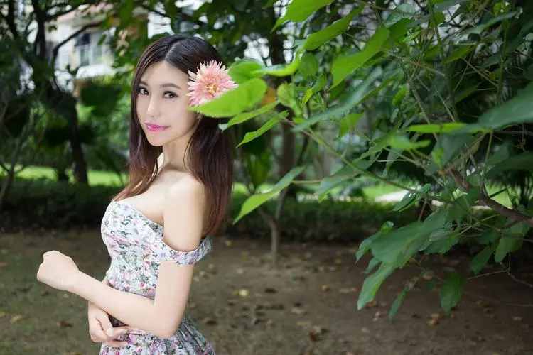 小说顾轻舟司行霈全文免费阅读,免费无广告,DVD版,全36集