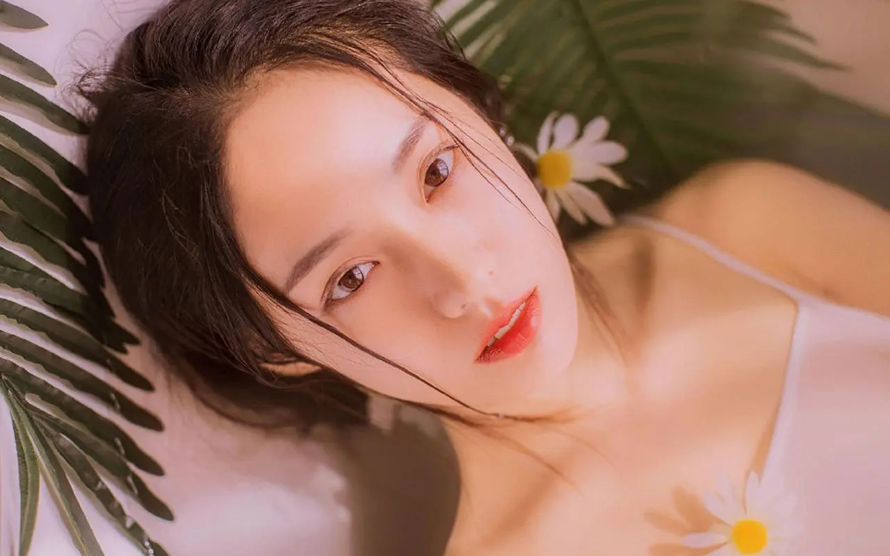 陈天龙纪秋水全文阅读,免费无广告,DVD版,全5集