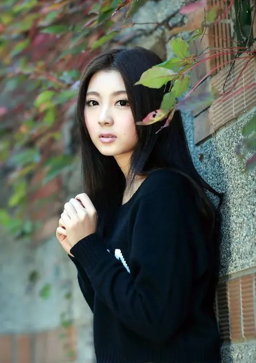 《美景之屋1完整版,免费无广告,DVD版,全55集