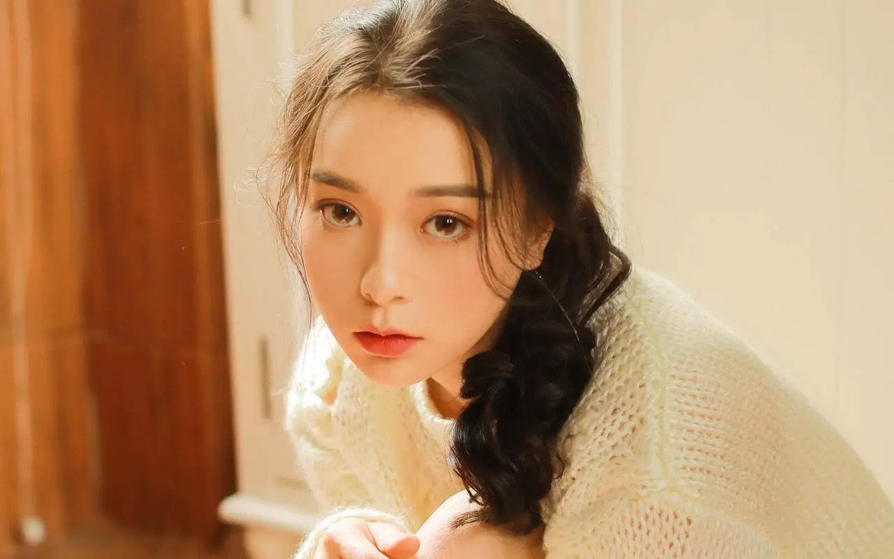 刘岷刘奕君,免费无广告,DVD版,全33集