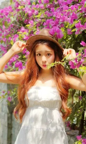 大军师,1080P,中文字幕,全集观看