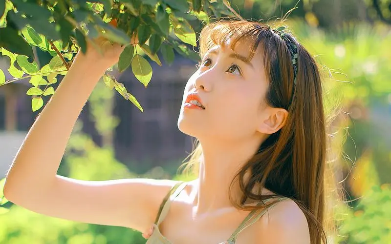 菠萝菠萝蜜视频在线观看免费观看高清,113分钟,1080P高清版,无删减完整版在线观看