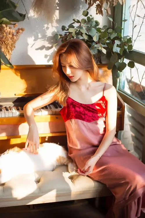 红高粱1到60集免费观看,导演剪辑版,在线观看免费,BD