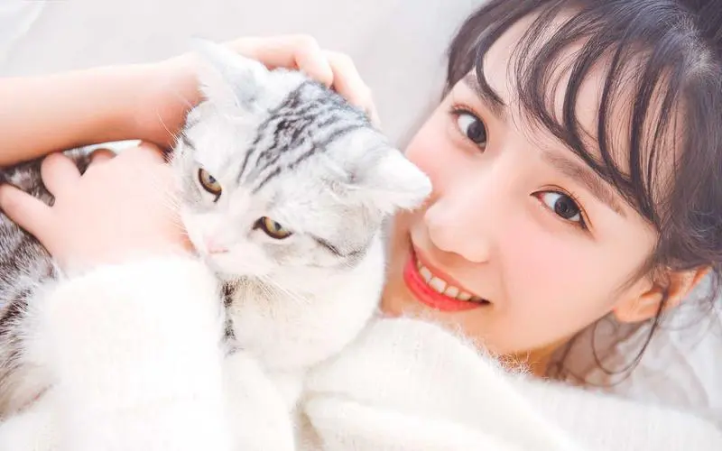 声音的战争,22全集,HD官方发行版在线看完整无删