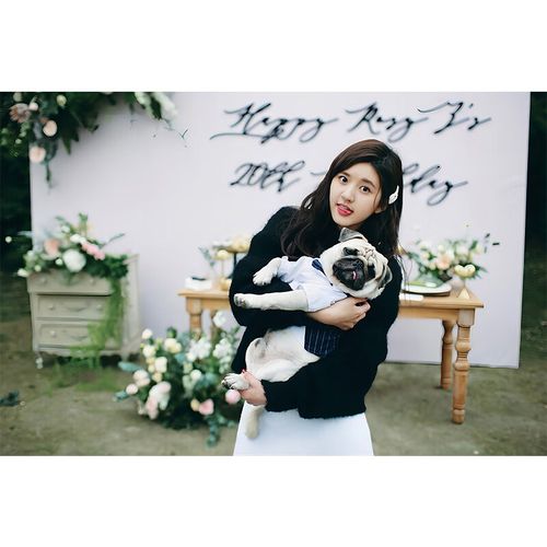 痞尊,32全集,HD官方发行版在线观看免费大全