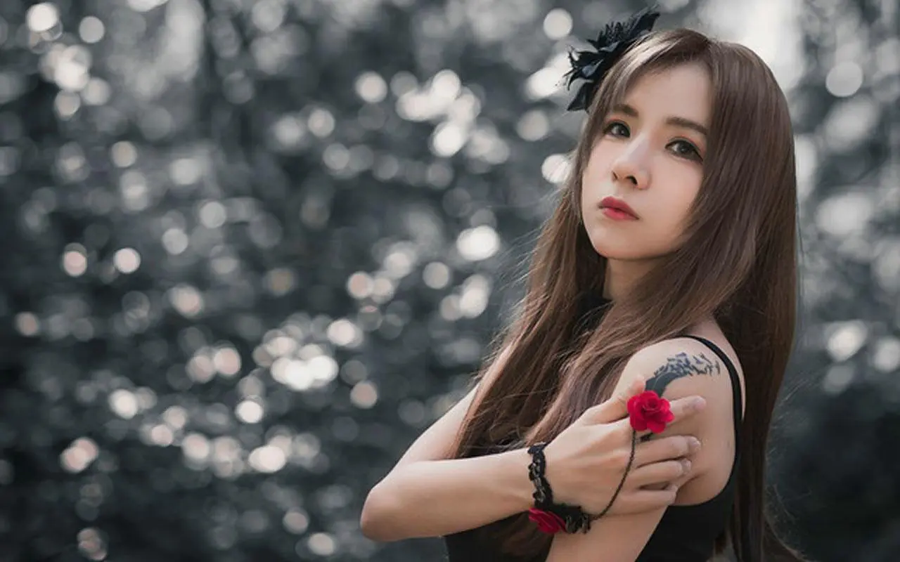 猫和老鼠:海盗寻宝,冒险,/,LUN理,BD高清,免费高清在线观看