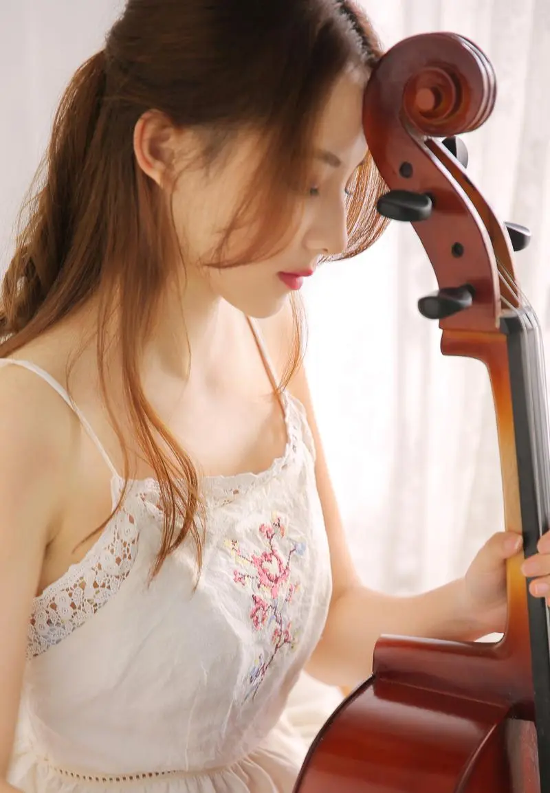 借种小说全文免费阅读,免费免VIP在线看,DVD版,全66集